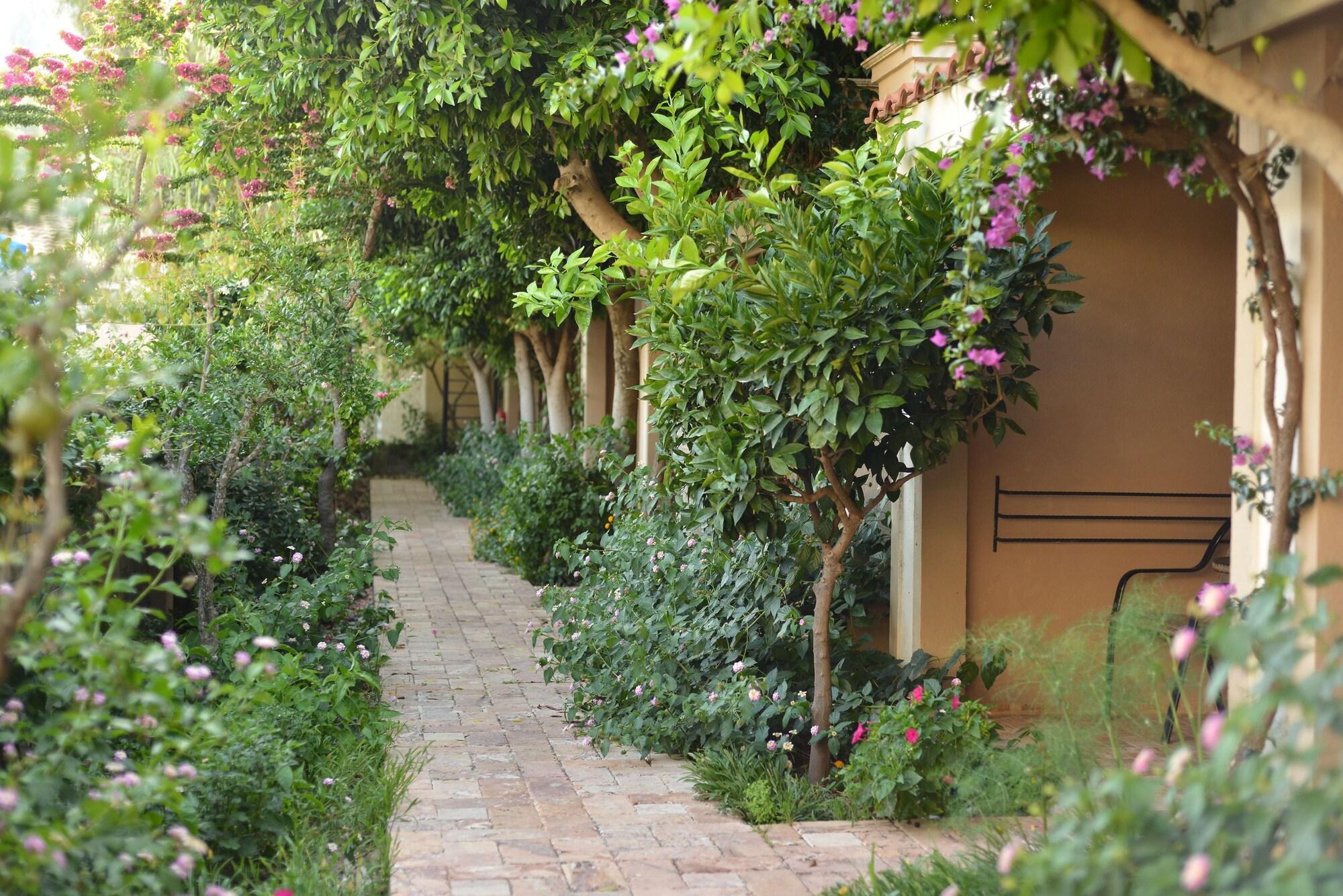 - Special Category Hotel Dalyan