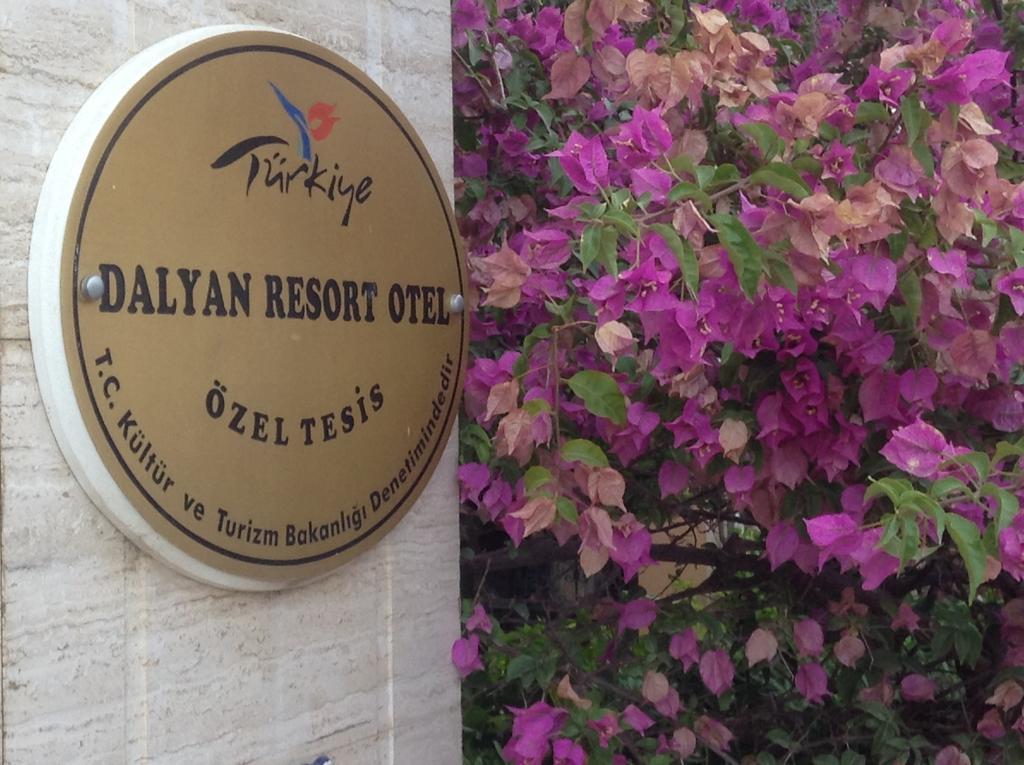 - Special Category Dalyan